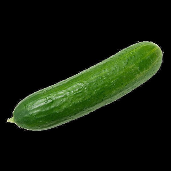 Cucumber 500g