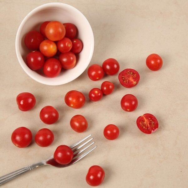Tomato Ch. 1/pack